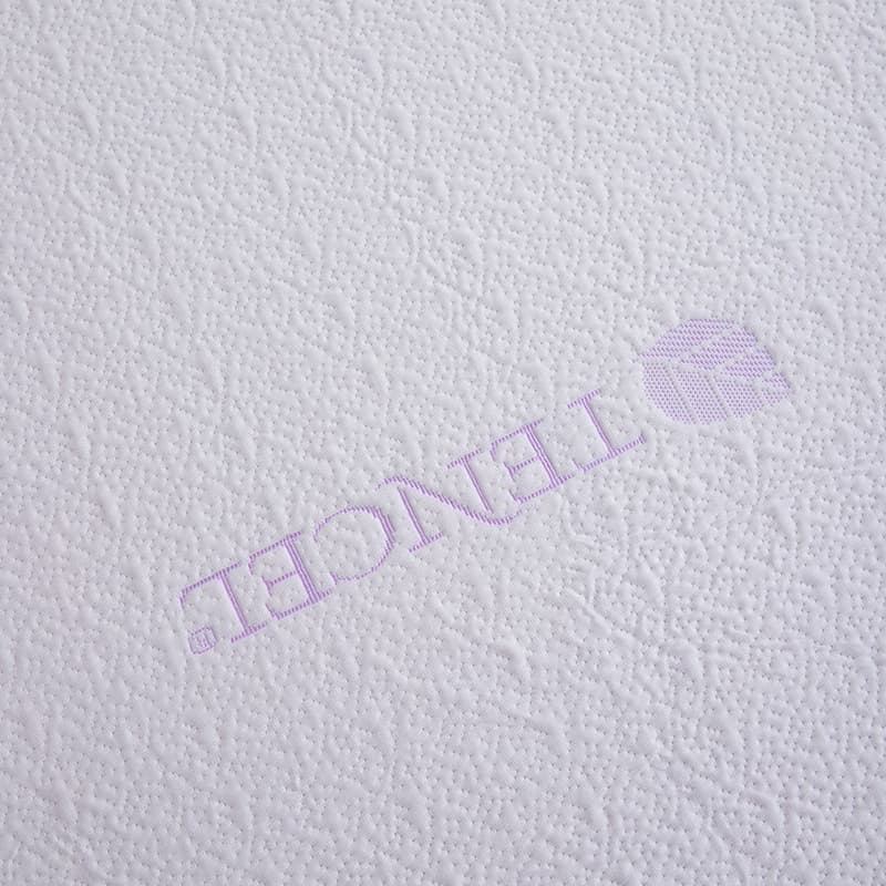 IMG_6551 (1) IMG_6551 (1)