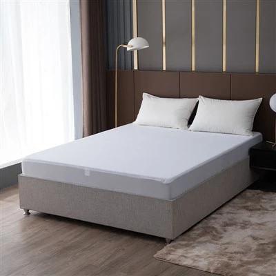 Coral Fleece Mattress Protector